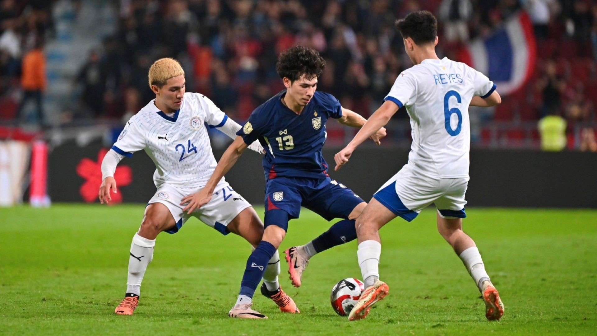 教练阿里戈 教练阿里戈